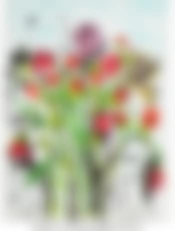 Anemones , (preview)
