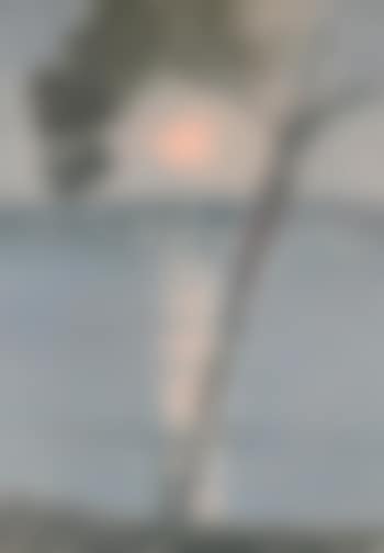 Evening Scene , (preview)