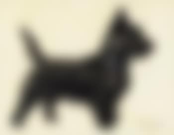 A Scottie , (preview)