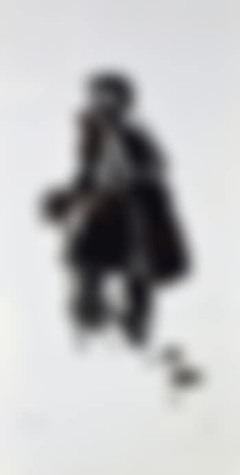 Welsh farmer with crook , (preview)