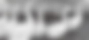 Six geese walking in field with woodland beyond stone wall , (preview)