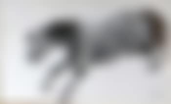 Prancing pony , (preview)