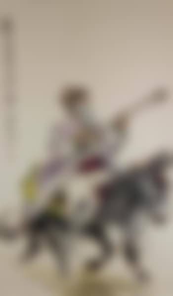 The Uyghur old man riding on donkey visiting Chairman Mao , (preview)