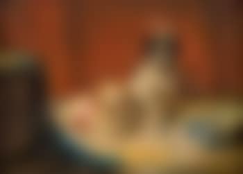 Petits bichons , (preview)