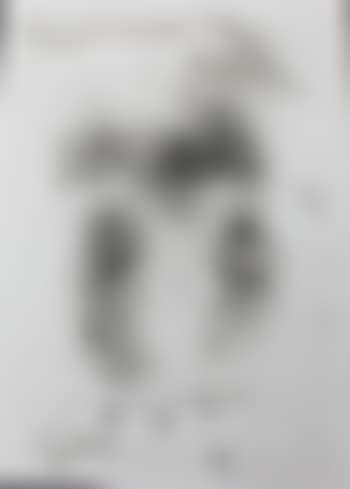 Imprint from Dorian Gray's stomach ,
1963 (preview)