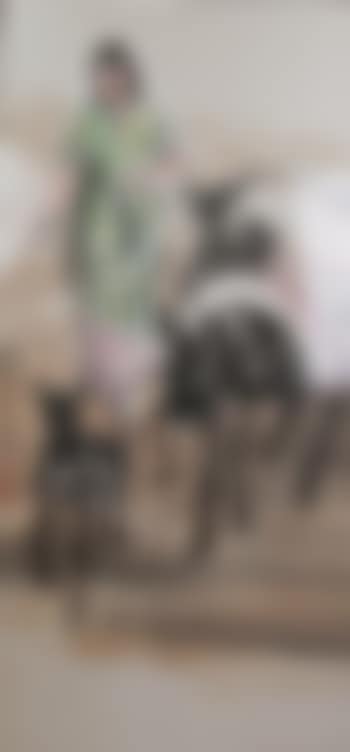 Uygur woman and three donkeys , (preview)