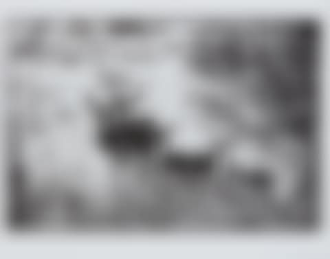 Waterbuck Family on the Uaso Nyiro (preview)