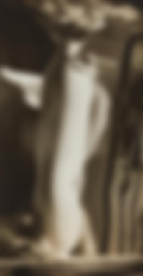 Distortion with Vase (preview)
