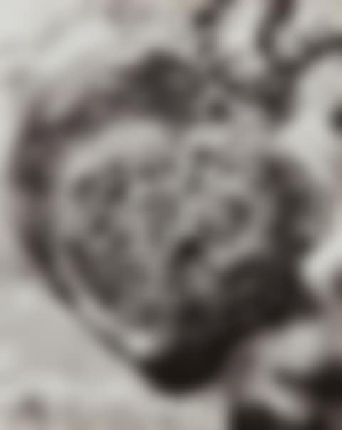 Placenta (preview)