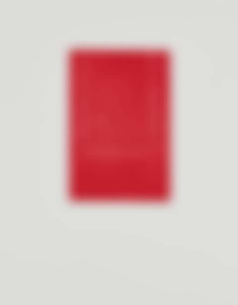 Mezzotint in Crimson (preview)