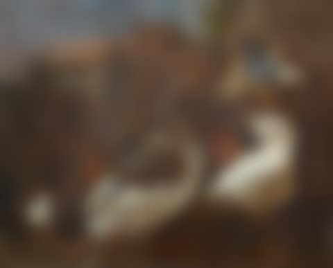A goose, hens and other birds in a farm yard (preview)