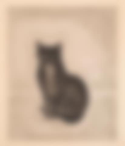 Chat Noir (preview)