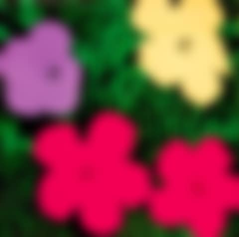 Flowers (Sonnabend Invitation) (preview)