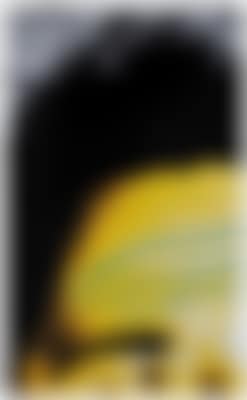 Raised Eyebrows/Furrowed Foreheads:(Black Eyebrow and Wild Hair) (preview)