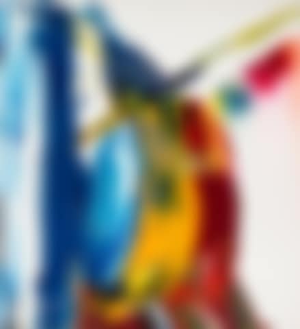 Phenomena Rush of Color (preview)