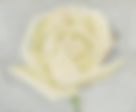 A Rose (preview)