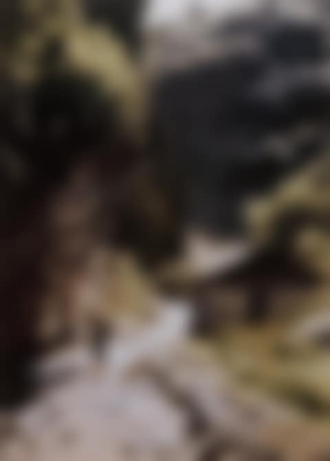 Ravine (preview)