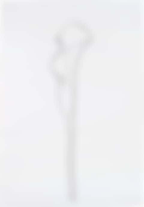 Calla Lily III, from Series of Plant and Flower Lithographs (preview)