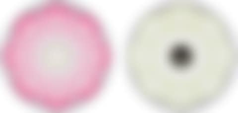Lotus Flower (Pink); and Lotus Flower White (preview)
