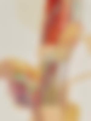 XYLOPLAN VD (preview)