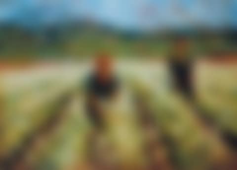 Champ de Narcisse (preview)