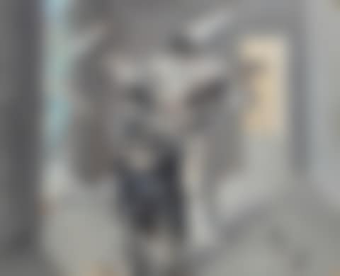 Solitudine (preview)
