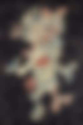 J'accours (preview)