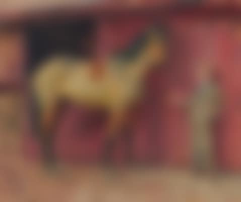 My Horse 'Anarchist' (preview)
