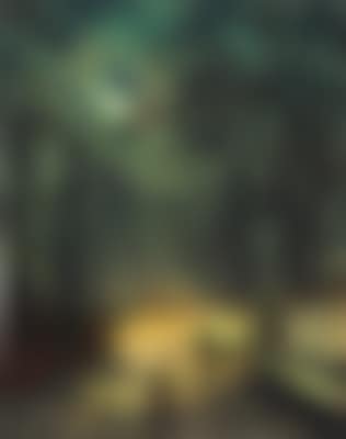 A Moonlit Lane (preview)