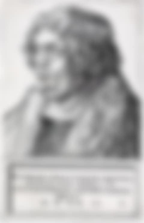 Willibald Pirckheimer (preview)