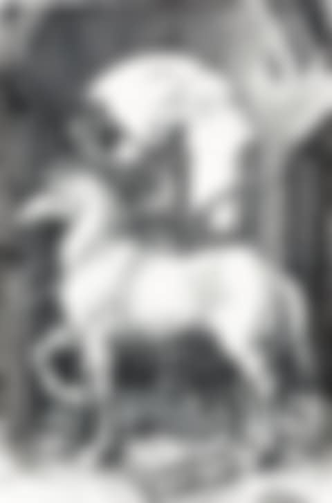The Small Horse (preview)