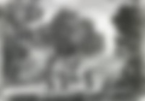 La Danse Sous Les Arbres (preview)