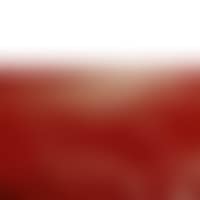 Bloodscape V (preview)