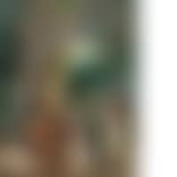 The gardens (the red woman) (preview)