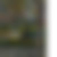 Montsouris (preview)