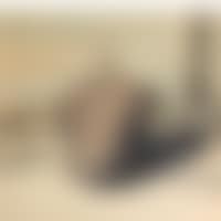 Winter having come, it's over, the song of the quartermaster! (preview)