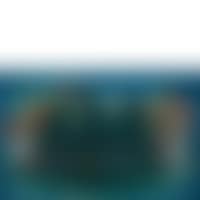 LANDSCAPE (preview)