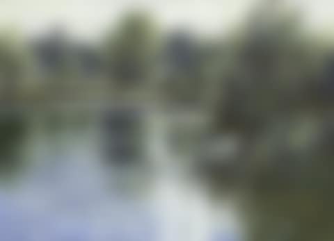 Morning sunlight - Womack Water (preview)