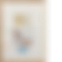 UNTITLED (DOLPHINS) (preview)