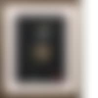THE YOUNG PRINCE II (preview)