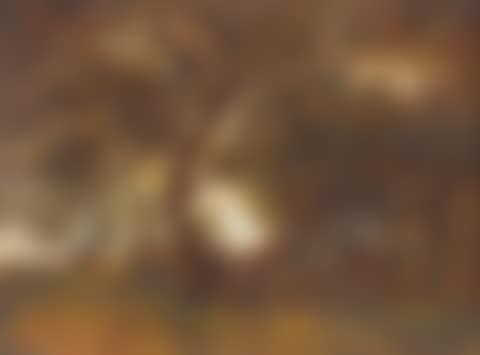 A view of trees, lake, and cows in a wooded setting (preview)