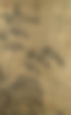 Bamboo and Rockwork (preview)