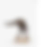 EGUEULE (preview)