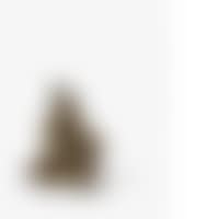 THE DISCREET AUREOLE (preview)