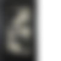 IN THE EXPECTATIVE (preview)