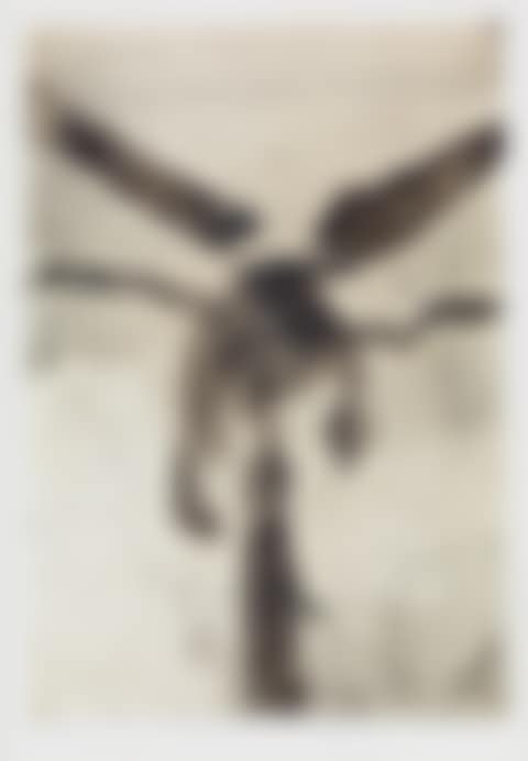 Untitled (preview)