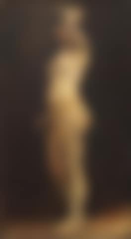 Study of a standing female nude (preview)