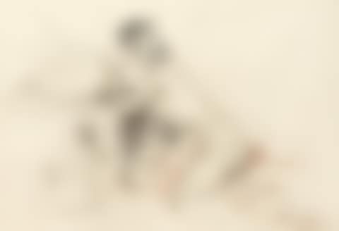 Nude reading (preview)