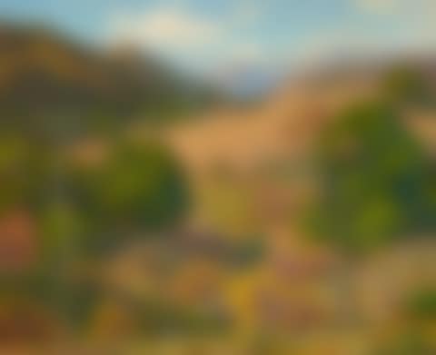 When Fields Lie Fallow (preview)