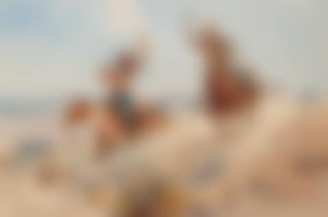 The Surrender (preview)